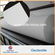 Nonwoven Filament Polyester Geotextile for Landfilling